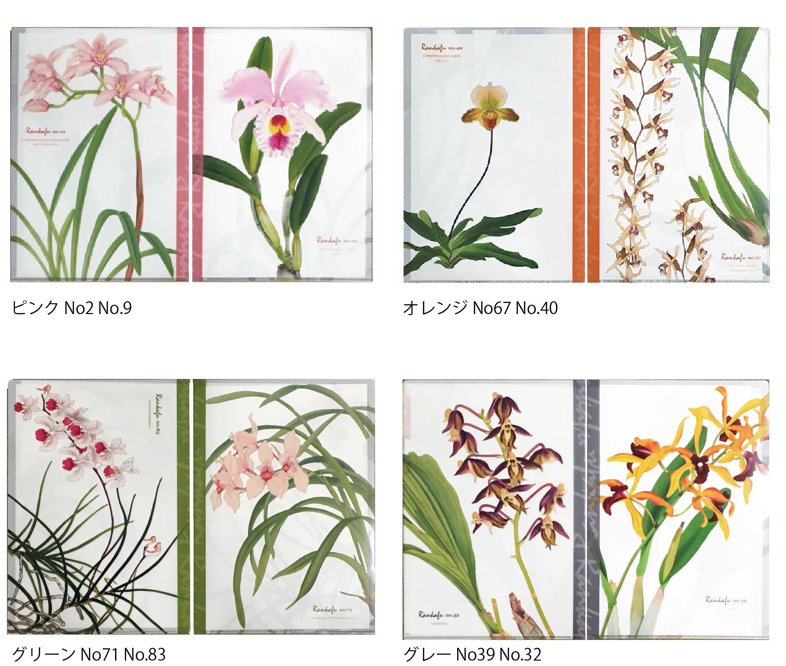 ｸﾘｱﾌｧｲﾙ A4 蘭花譜 | 智光法人向けオンラインショップ（水族館、植物園